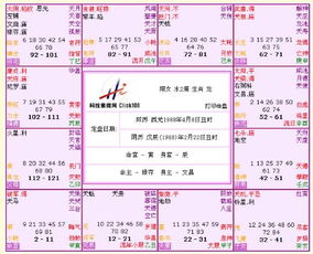 梅花易数免费测算：梅花易数免费测算，解锁未来运势的传统文化智慧