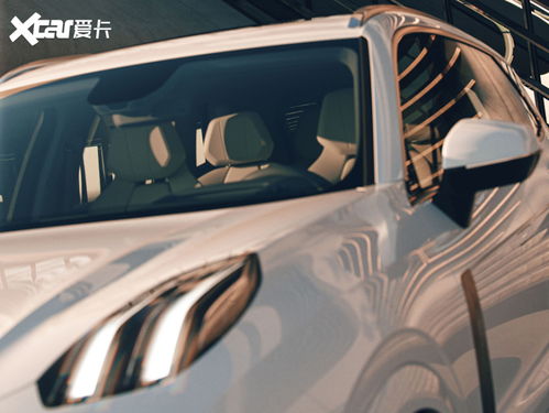 9月23日是什么纪念日：9月23日，农民丰收日与全球特殊日—这个日期承载着丰收、健康与和平的多重意义