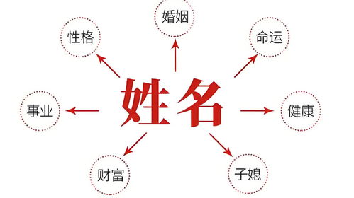 起名字2022免费：2022宝宝起名指南，免费工具与创意灵感全攻略