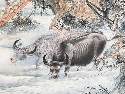 属鼠和什么属相最配：属鼠人与哪些属相天生是最佳拍档？性格互补与三合六合的完美搭配