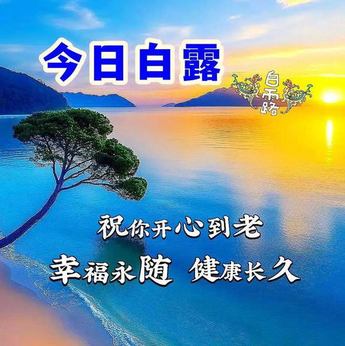 9月7日是什么节气：9月7日是什么节气？揭秘白露节气文化与养生指南