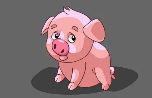 1995的猪今年姻缘怎样：1995年属猪人2023年姻缘精准分析，红鸾星动还是静待花开？