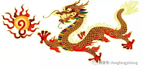 属龙最难熬是哪年：属龙人命理解析，2025年或成劫财年，三招化解运势困局