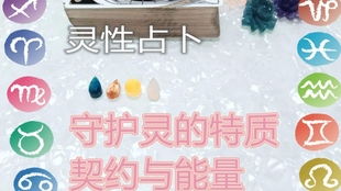 开塔罗牌占卜店需要什么：开设塔罗牌占卜店，你需要知道的一切