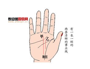 婚姻线图解大全：婚姻线图解大全，手相中的婚姻密码与改善指南（附详细解析）