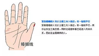 婚姻线图解大全：婚姻线图解大全，手相中的婚姻密码与改善指南（附详细解析）