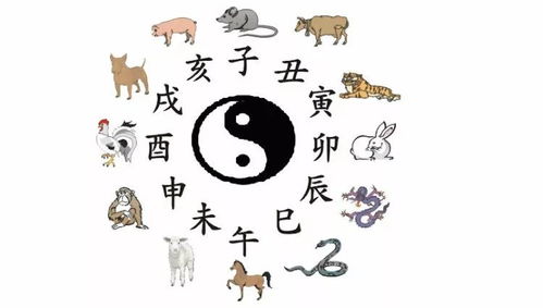 12个属相：十二生肖，穿越千年的文化密码与现代人生启示