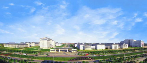 目前最好的职业学校（2020年最好的职业学院）