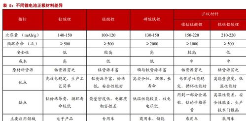 丰元股份:2025-006投资者关系活动记录表