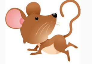 1946年属什么生肖属相：1946年出生属鼠？揭秘你的生肖密码与命运解读