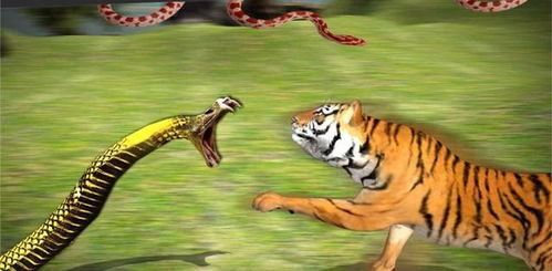 梦见大蟒蛇咬人是什么征兆:梦见大蟒蛇咬人,解密潜意识中的警示与隐喻