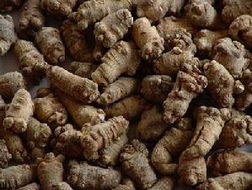 怎样挑选三七是上等货:三七选购指南,如何挑选上等货,从产地到细节全解析