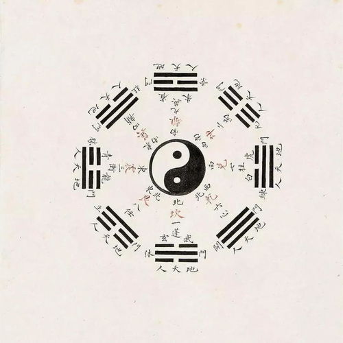 四柱八字喜用神查询:四柱八字喜用神查询,精准定位命理密码,解锁人生运势指南 四柱八字喜用神查询:四柱八字喜用神查询,精准定位命理密码,解锁人生运势指南