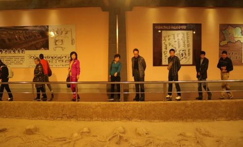 5月18日是什么日子:5月18日国际博物馆日,探索文化遗产,传承文明根脉