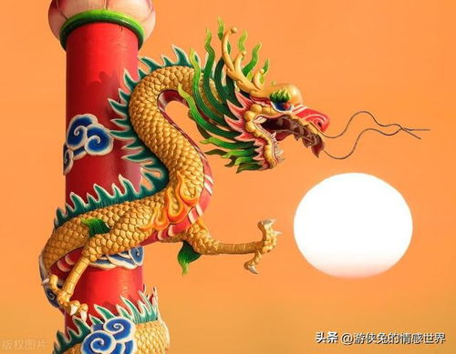 87年的属相:1987年属龙人,龙腾四海的十年运势与性格密码 87年的属相:1987年属龙人,龙腾四海的十年运势与性格密码