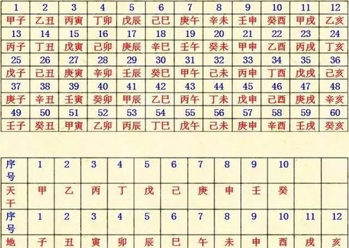 免费出生日干支查询:免费在线查询出生日干支,一键获取你的个人命理密码,解锁传统文化智慧