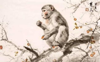 双属猴的结婚吉日：双属猴的结婚吉日指南，传统与科学的完美结合