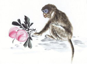 双属猴的结婚吉日:双属猴的结婚吉日指南,传统与科学的完美结合 双属猴的结婚吉日:双属猴的结婚吉日指南,传统与科学的完美结合