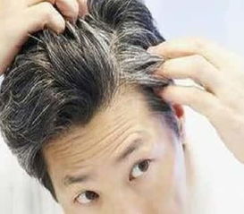 梦见头发被剪了是什么征兆:梦见头发被剪了是什么征兆?解密梦境背后的隐藏信息