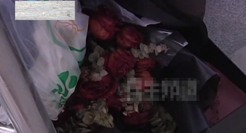 大众塔罗牌一定准吗吗:塔罗牌的神秘面纱,准与不准,真相只有一个? 大众塔罗牌一定准吗吗:塔罗牌的神秘面纱,准与不准,真相只有一个?