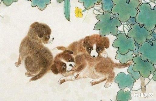 属狗的6合贵人：属狗人6合贵人解析，揭秘你的贵人运与人生机遇的三大关键