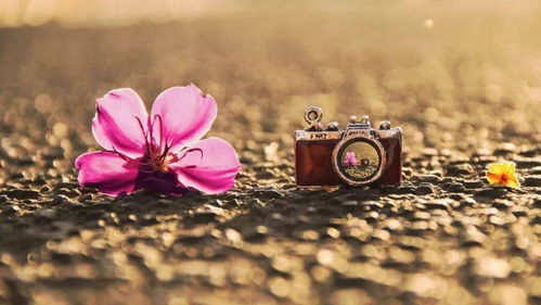 男士擦什么增白效果好:男士擦什么增白效果好?这些护肤单品让你由内而外透白发光 男士擦什么增白效果好:男士擦什么增白效果好?这些护肤单品让你由内而外透白发光