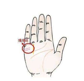 手纹姻缘线是哪根线：手纹中的姻缘密码，揭秘掌相学中的姻缘线