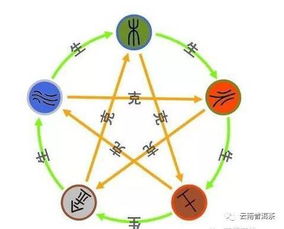 五行缺木怎么补:五行缺木的补救指南,从风水布局到养生调理的全面方案 五行缺木怎么补:五行缺木的补救指南,从风水布局到养生调理的全面方案