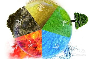 五行缺木怎么补：五行缺木的补救指南，从风水布局到养生调理的全面方案