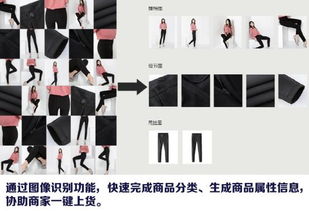 一键查询重名：一键查询重名，破解姓名重复难题的智能解决方案