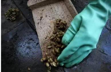 梦见自己拉了一大堆屎：黄金马桶圈的启示，从排泄物梦境看人类集体潜意识中的生命隐喻