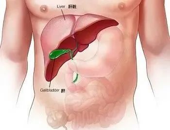 三个征兆说明已有肝炎：三个明显征兆，暗示你可能已有肝炎，别忽视！