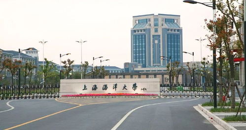 上海海洋大学考研难度（上海海洋大学研究生难考吗）