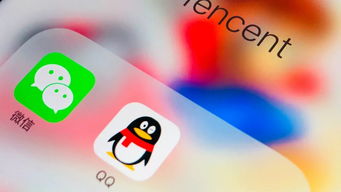 qq测吉凶：QQ测吉凶，社交平台上的玄学新玩法，年轻人如何玩转数字命理？