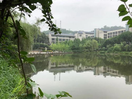 重庆理工大学（重庆理工大学是几本）