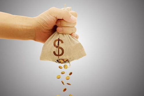 智学网成绩查询入口（北京智学网成绩查询入口）