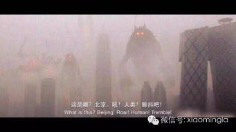 梦见走错路找不到回家的路:迷途,心之归途 梦见走错路找不到回家的路:迷途,心之归途