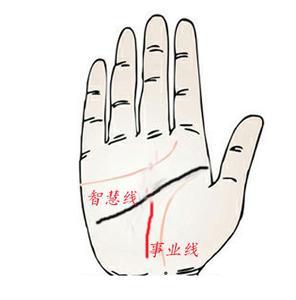 在线看手相算命：数字化时代的新占卜，在线看手相算命如何重构传统命理服务？