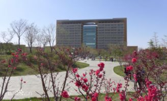 东营职业学院什么档次（东营职业学院是大学吗）