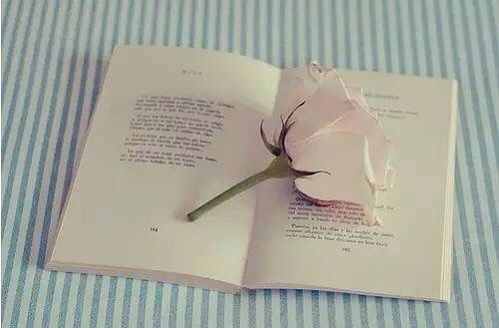 要珍惜来之不易的姻缘：风雨同舟，爱在珍惜中永恒