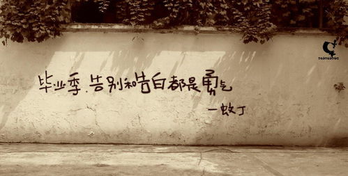 8月11号是什么日子:8月11日,被遗忘的纪念日与不为人知的意义 8月11号是什么日子:8月11日,被遗忘的纪念日与不为人知的意义