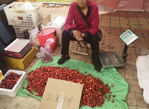 8月11号是什么日子：8月11日，被遗忘的纪念日与不为人知的意义