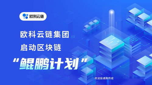 2023免费新公司起名：2023年免费公司起名指南，高效创意与合规避坑全攻略