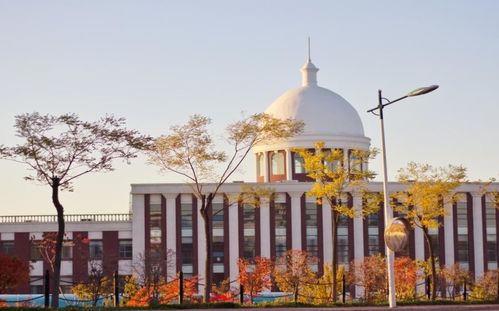 沈阳药科大学（沈阳药科大学是985还是211）