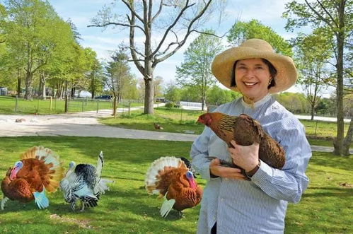 9月23日出生的明星：9月23日，天秤座星光闪耀日，这些顶流明星为何总与命运不期而遇？