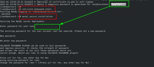 php爬虫框架:PHP爬虫框架终极指南,从入门到实战解析