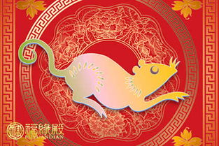 卯时出生的女孩姻缘属龙:卯时出生的女孩姻缘属龙,一生注定幸福美满 卯时出生的女孩姻缘属龙:卯时出生的女孩姻缘属龙,一生注定幸福美满