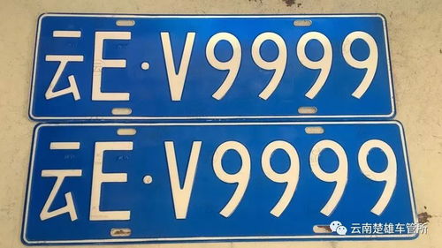 车牌号50选1诀窍：车牌号50选1快速选号技巧，3步锁定幸运号码，避免踩坑指南