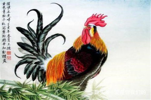 1981属鸡几月命苦：1981属鸡者命运解析，农历哪些月份需警惕运势下滑？