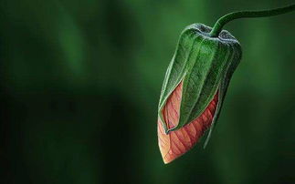 属牛男孩带水带草寓意好的字:属牛男孩起名宜水草字,寓意福泽深厚,前程似锦 属牛男孩带水带草寓意好的字:属牛男孩起名宜水草字,寓意福泽深厚,前程似锦